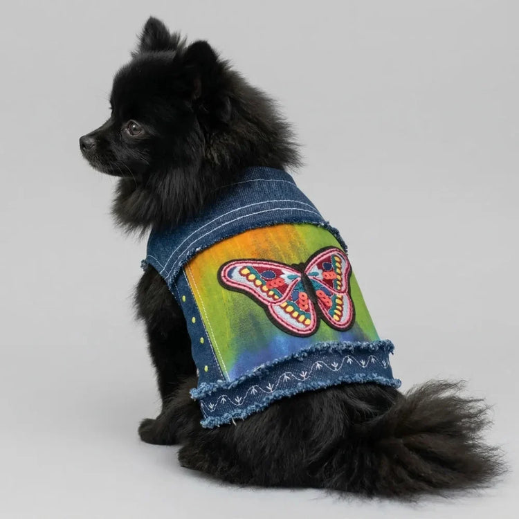 Denim jacket for small dogs