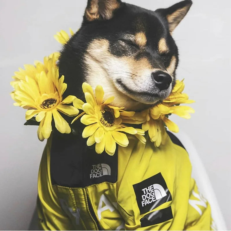 Waterproof Windbreaker for Dogs