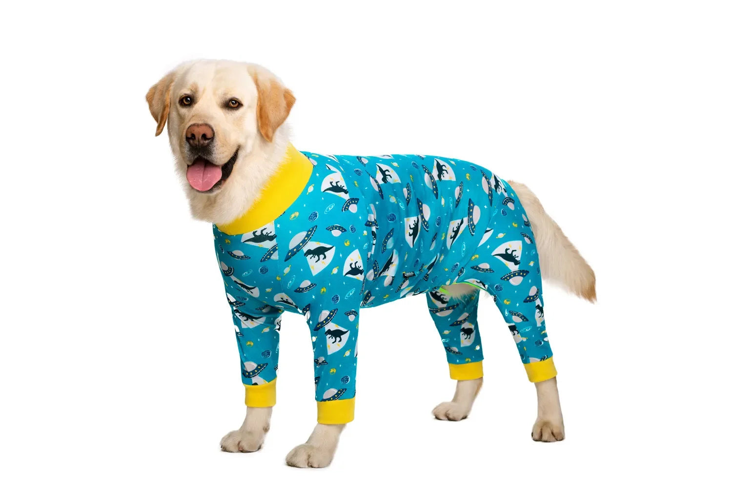 Cartoon Pajamas for Medium to Large Dogs