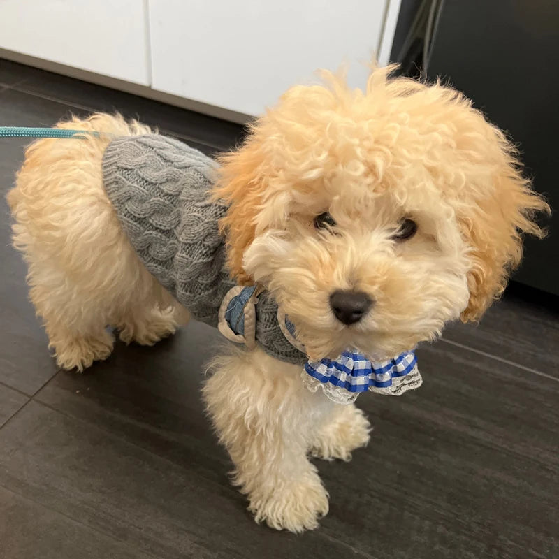 Knitted Sweater for Small Dogs