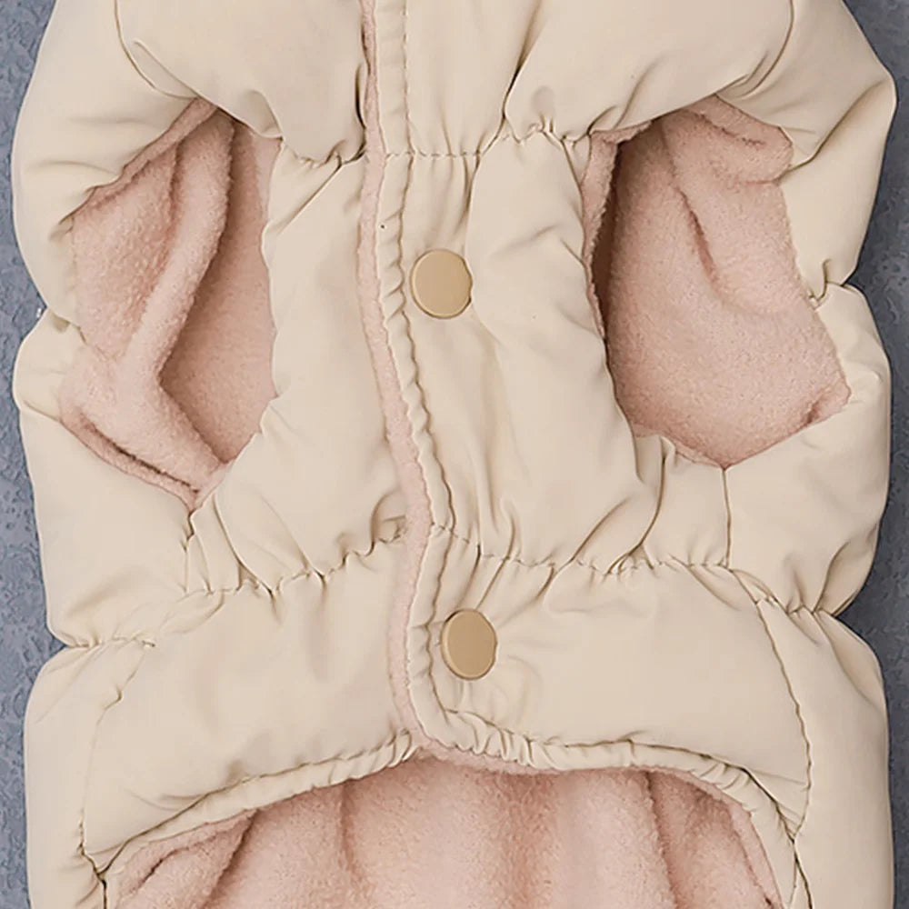 Padded Winter Coat for Small Dogs