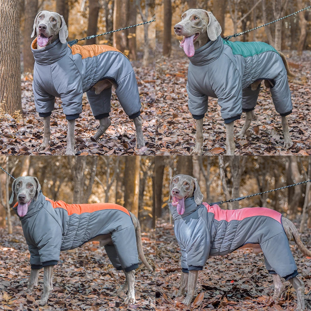 Waterproof Dog Overalls for Big Dogs