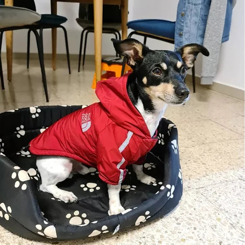 Reflective Waterproof Dog Coat