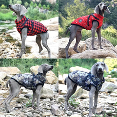 Warm Waterproof Jacket with Harness