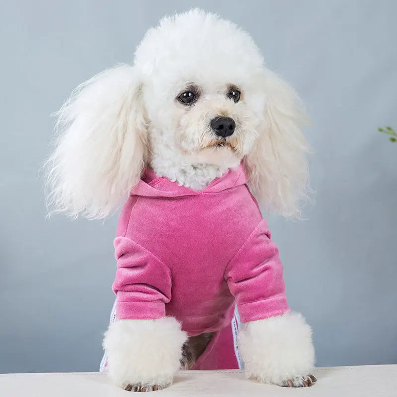 Velvet Jumpsuit for Small Dogs