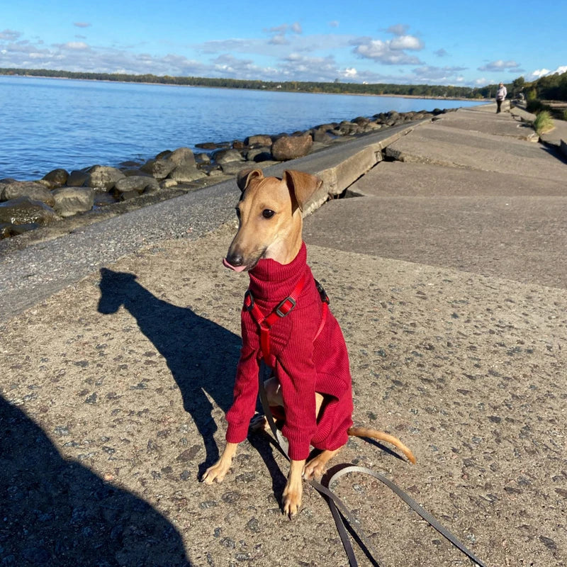 Turtleneck Pajamas for Big Dogs