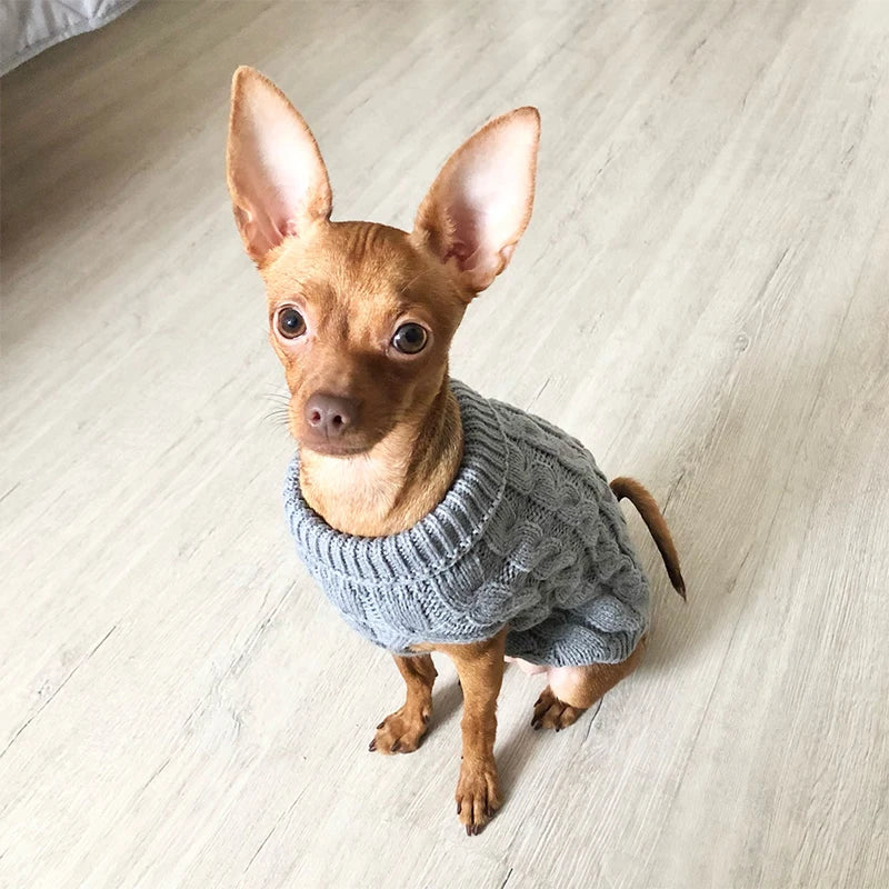 Knitted Sweater for Small Dogs