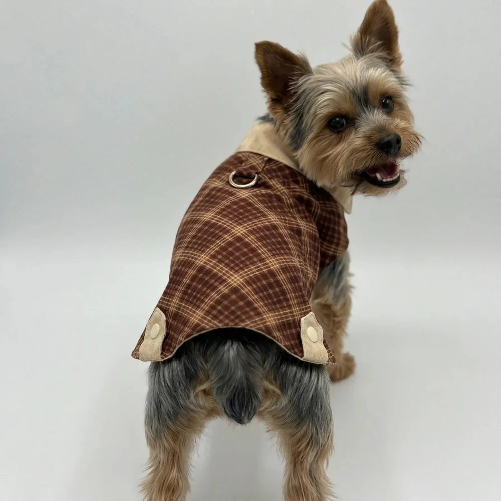 Small dog wearing a brown and beige plaid vest